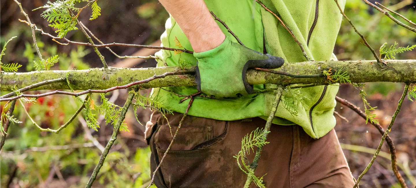 Zuverlässig, kompetent, sicher