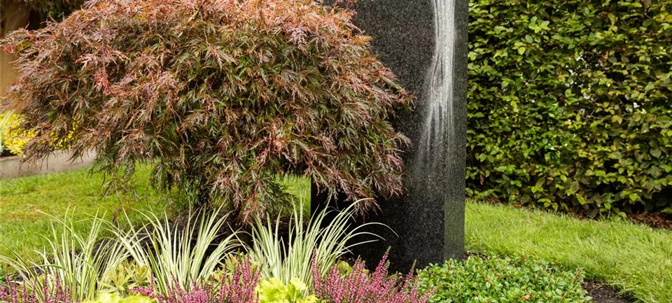 Gestaltung und Pflege