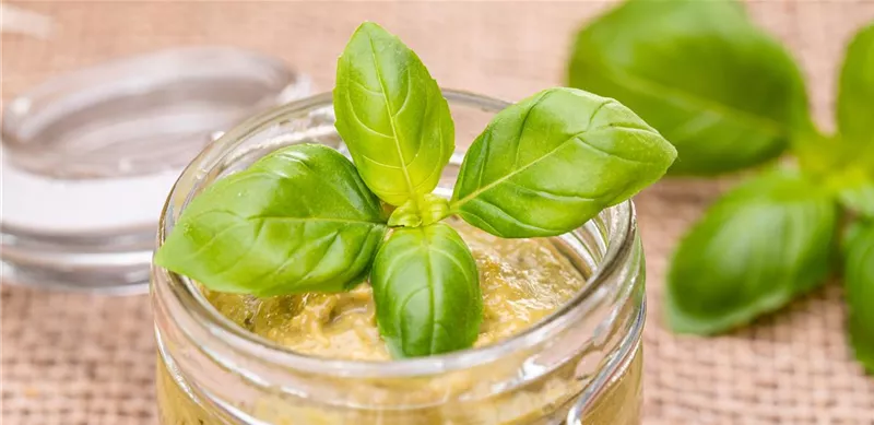 Kräuter von Jäger in Tirol