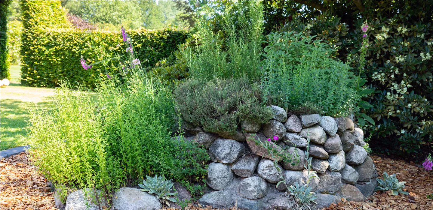 Alles für Ihren Duftgarten