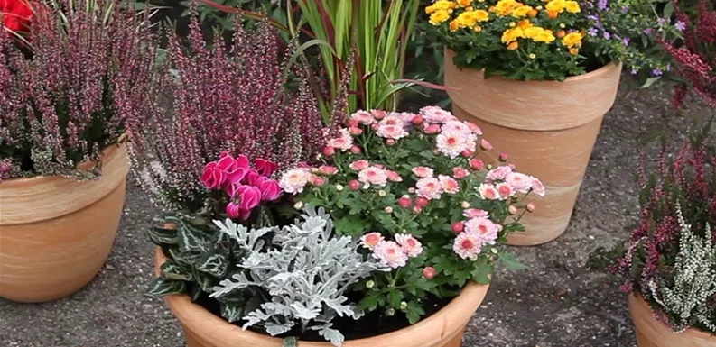 Ihre Gärtnerei Jäger