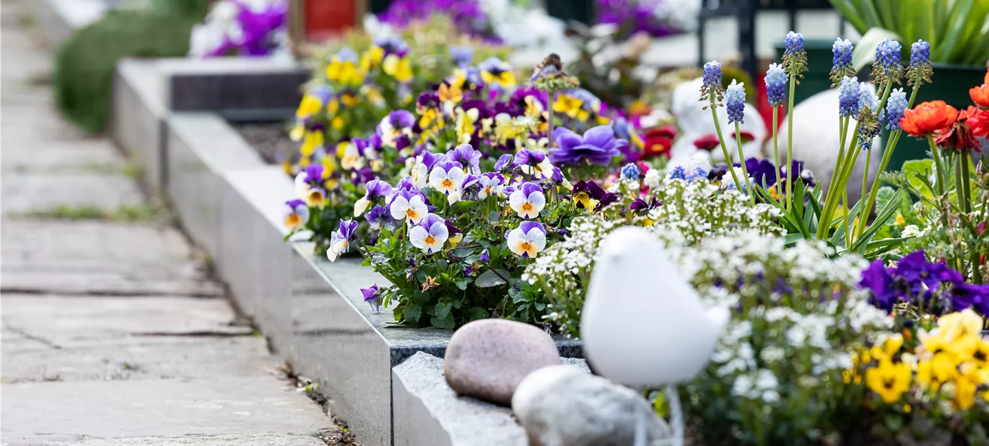 Kränze, Grabschmuck und Grabpflege